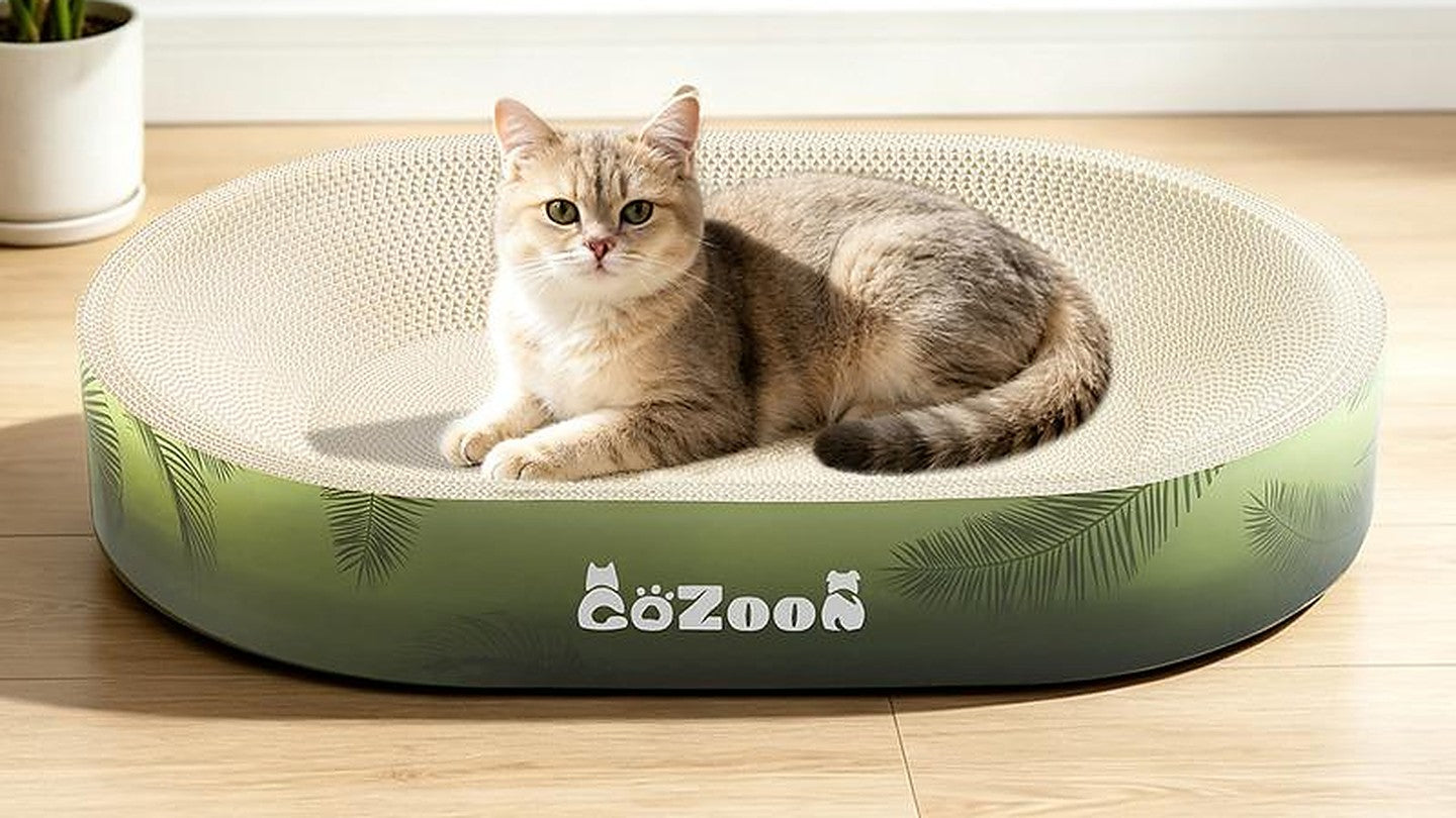 A cat settled in the bowl on a wooden floor beside a house plant