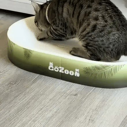 Falls asleep